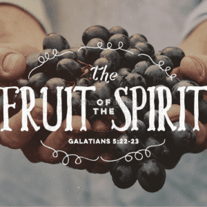 Fruit of the Spirit: Experiencing Perfect Peace In the Midst of Hardship // John 14