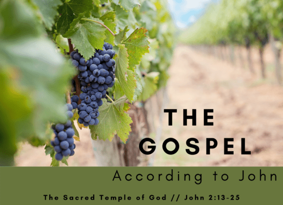 Sacred Temple of God // John 2:13-25