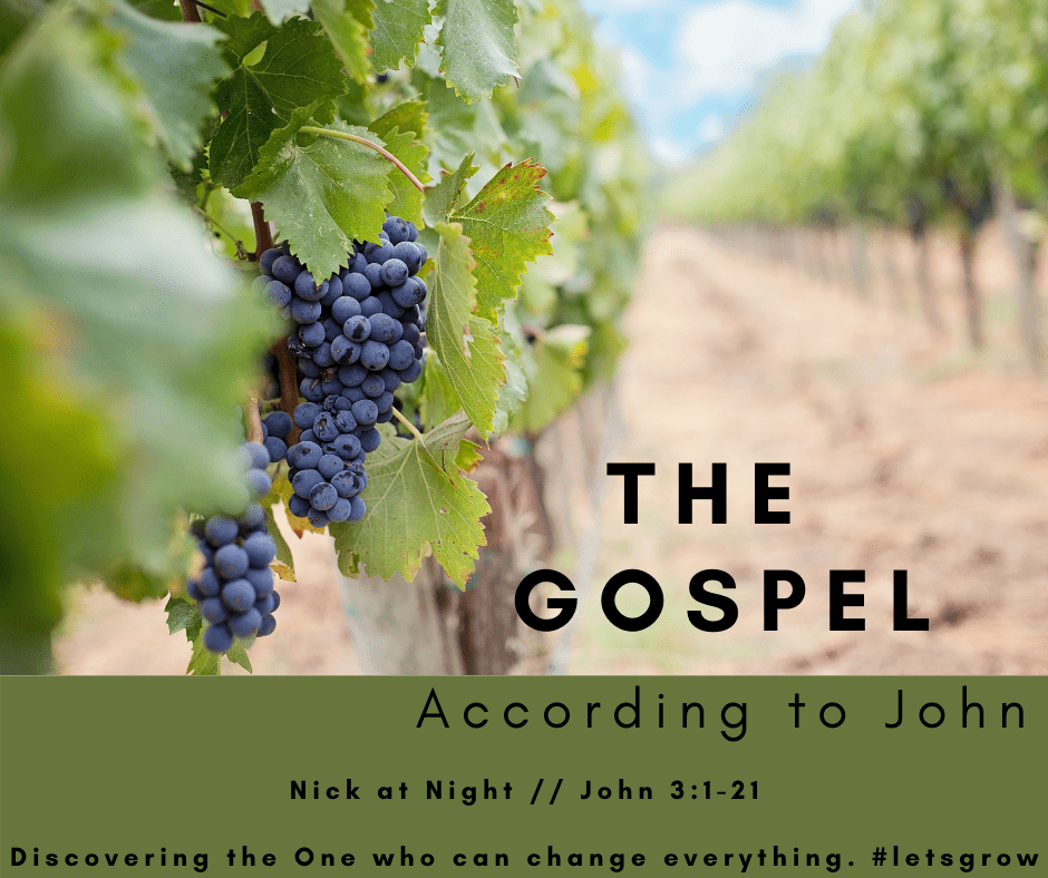 Copy of A journey through the Gospel, according to John (3)