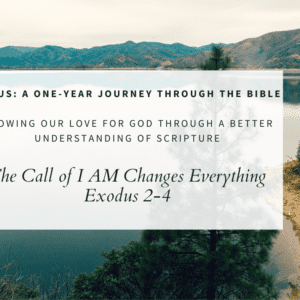 The Call of I AM Changes Everything // Exodus 2-4