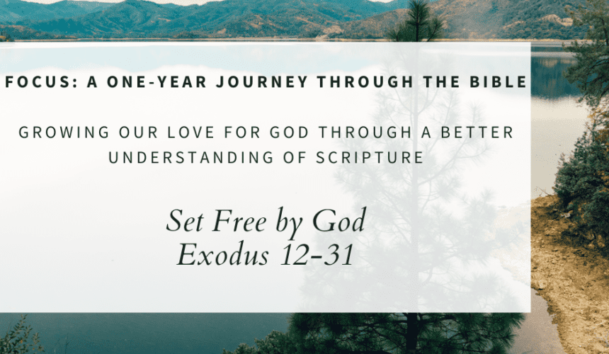 Set Free by God // Exodus 12-31