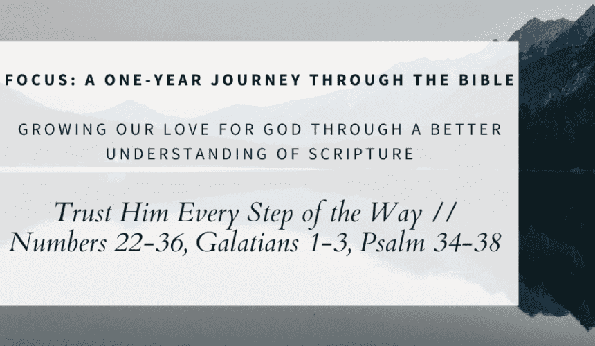 Session 2 FOCUS Sermon Reminder Facebook Post (3) Trust Him Every Step of the Way // Numbers 22-36