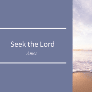 Seek the Lord // Amos