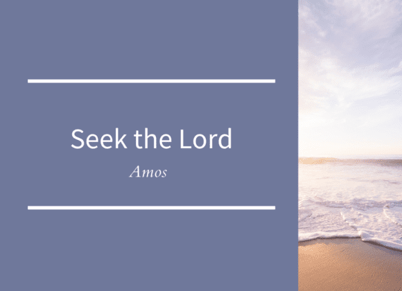 Seek the Lord // Amos