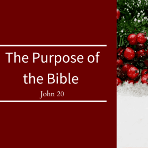 The Purpose of the Bible // John 20