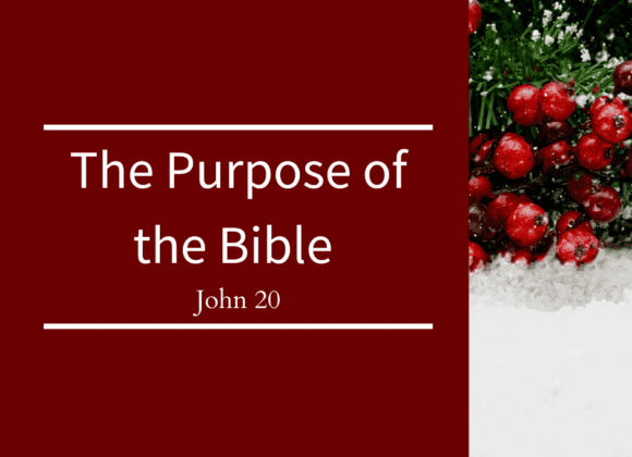 The Purpose of the Bible // John 20
