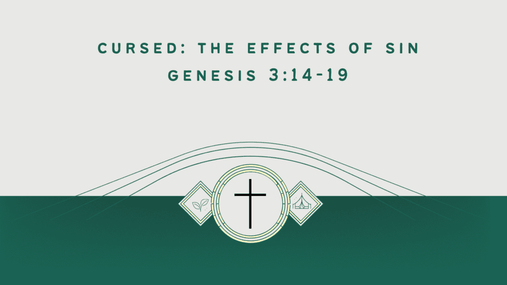 Cursed: The Effects of Sin