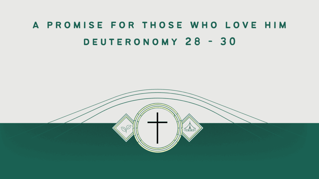 Blessed: A Promise for Those Who Love Him